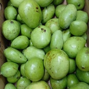 Mango Biche ( Verde ) (1K)