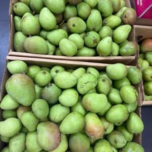 Mango Biche ( Verde ) (1K)