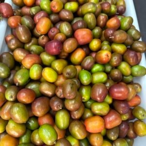 Ciruela o Jocotes o Ovos (1K)