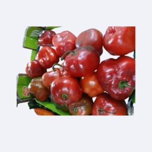 Rocoto (1KG)