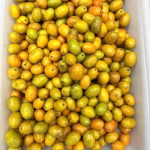 Ciruela o Jocotes o Ovos maduras  (1K)