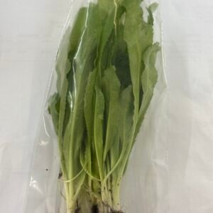 Culantro ancho o cimarrón manojillo