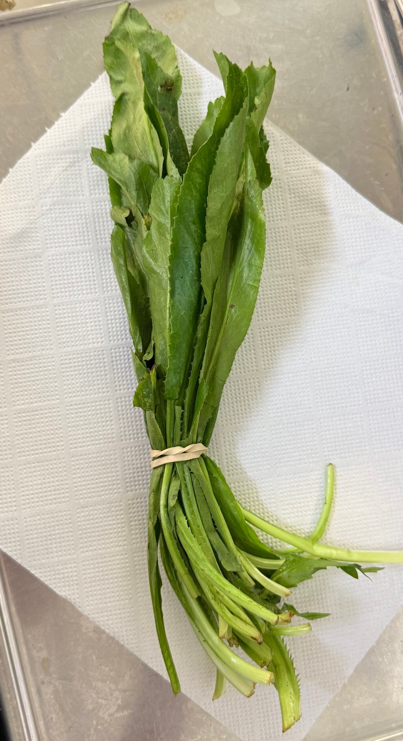 Culantro cimarrón fresco manojillo de 30g - La Tiendita de Lopez Fu