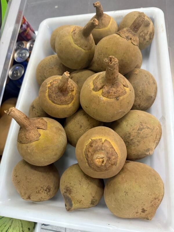Zapote (1K)