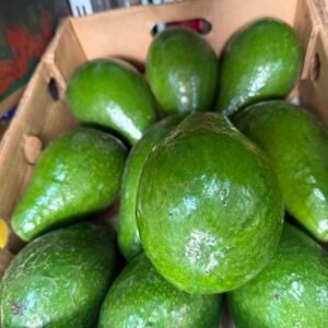 Avocado ( Aguacate ) por pieza