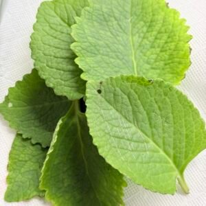 Hojas de Orégano ( 70 gramos )